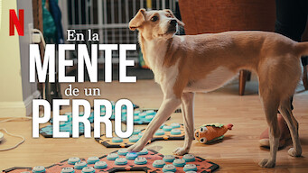 En la mente de un perro