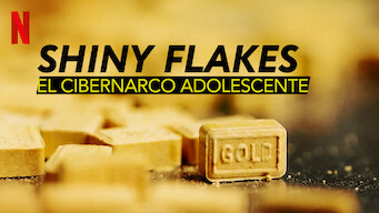 Shiny Flakes: El cibernarco adolescente